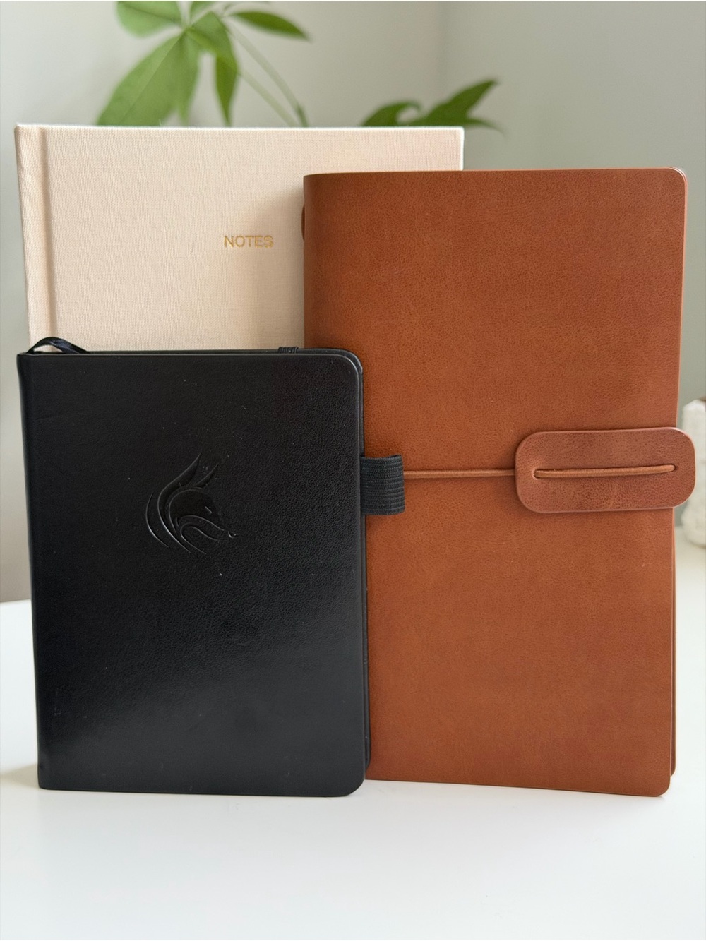 3-Piece Journal Bundle: Clever Fox Password Keeper, Traveler & Cloth Journal